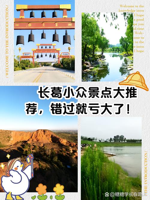长葛市出行规定查询,长葛市现在让进吗 第4张 长葛市出行规定查询,长葛市现在让进吗 第4张