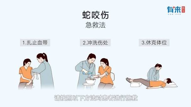 生活急救小常识ppt - 生活急救小常识手抄报 第3张 生活急救小常识ppt - 生活急救小常识手抄报 第3张