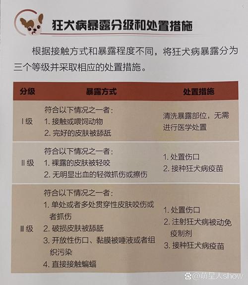 生活急救小常识ppt - 生活急救小常识手抄报 第4张 生活急救小常识ppt - 生活急救小常识手抄报 第4张