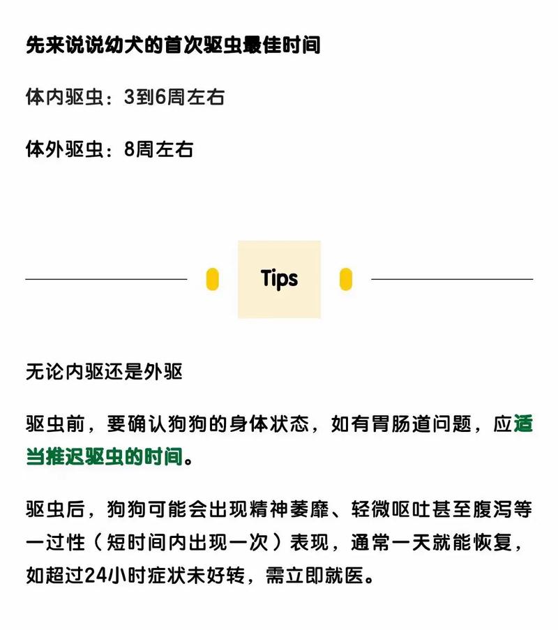 狗狗驱虫常识,狗狗驱虫方法以及注意事项图 第5张 狗狗驱虫常识,狗狗驱虫方法以及注意事项图 第5张