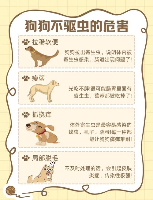 狗狗驱虫常识,狗狗驱虫方法以及注意事项图 第6张 狗狗驱虫常识,狗狗驱虫方法以及注意事项图 第6张