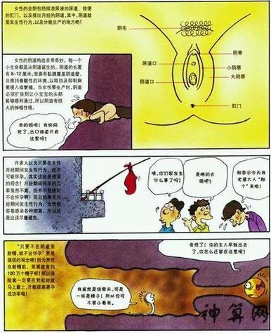 修改常识催眠小说,催眠更换常识 第8张 修改常识催眠小说,催眠更换常识 第8张
