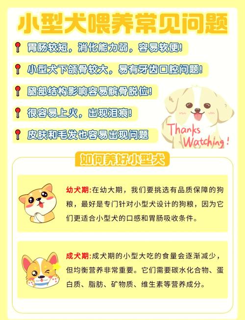 比熊日常喂养常识,比熊犬的喂养方法 sf 第4张 比熊日常喂养常识,比熊犬的喂养方法 sf 第4张