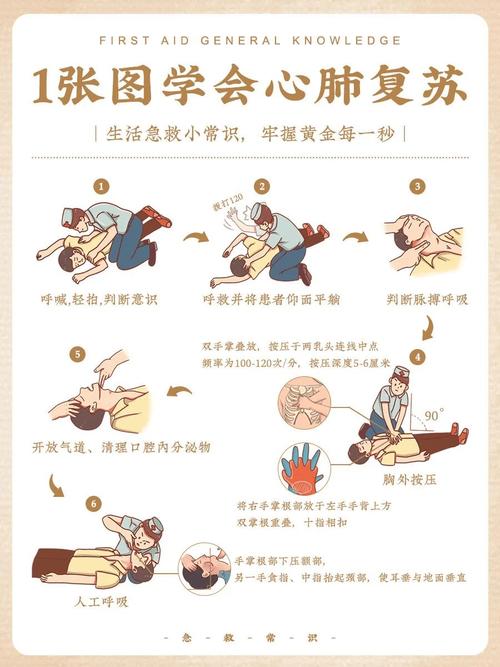 心肺复苏常识(心肺复苏常识及防治方法小论文) 第4张 心肺复苏常识(心肺复苏常识及防治方法小论文) 第4张