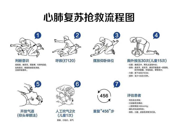 心肺复苏常识(心肺复苏常识及防治方法小论文) 第6张 心肺复苏常识(心肺复苏常识及防治方法小论文) 第6张
