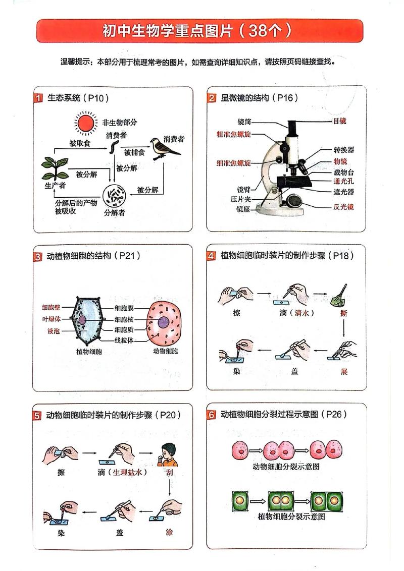 初中生物常识,初中生物常识100题含答案 第2张 初中生物常识,初中生物常识100题含答案 第2张