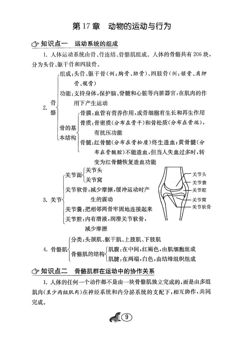 初中生物常识,初中生物常识100题含答案 第3张 初中生物常识,初中生物常识100题含答案 第3张