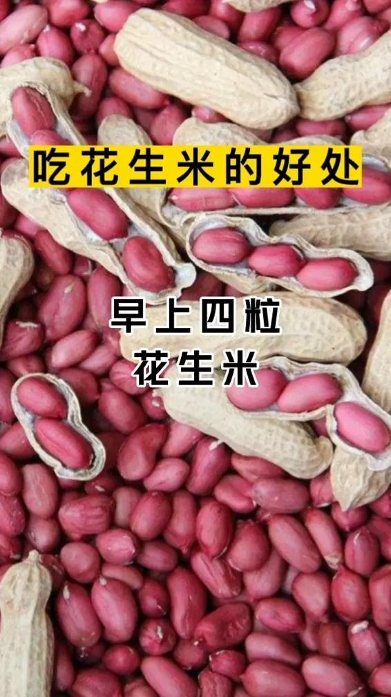 关于花生的常识,关于花生的小知识 第2张 关于花生的常识,关于花生的小知识 第2张