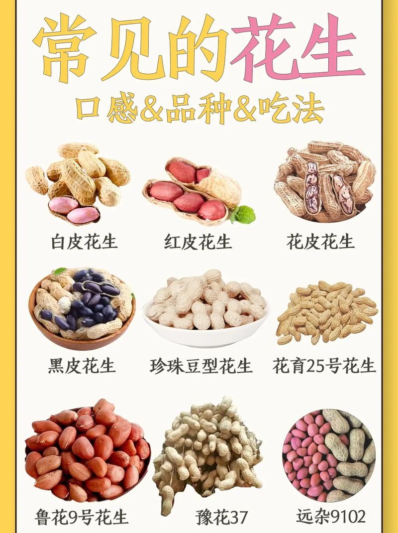 关于花生的常识,关于花生的小知识 第5张 关于花生的常识,关于花生的小知识 第5张