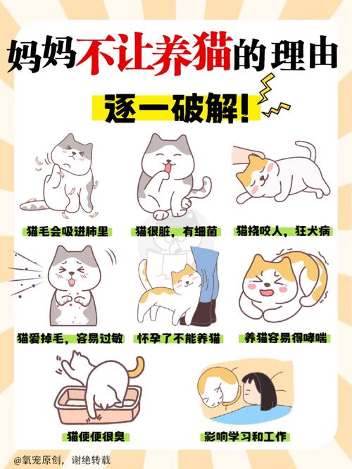 长沙猫咪出行公司(长沙猫咪出行公司地址) 第4张 长沙猫咪出行公司(长沙猫咪出行公司地址) 第4张