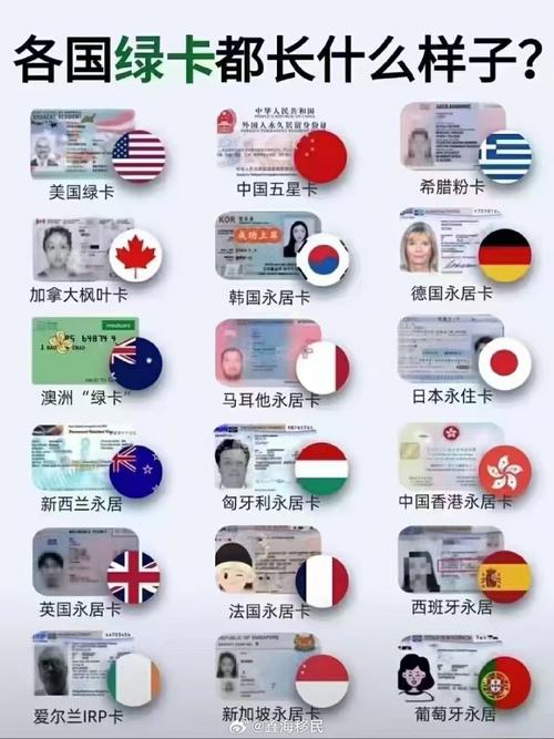 长途出行的外国人有多少 - 长途出行的外国人有多少个 第2张 长途出行的外国人有多少 - 长途出行的外国人有多少个 第2张