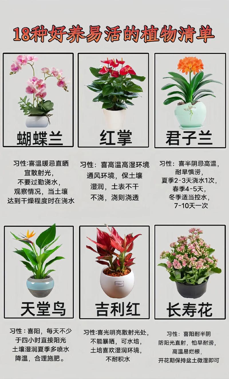 如何养花的小常识介绍,如何养花知识 第1张 如何养花的小常识介绍,如何养花知识 第1张