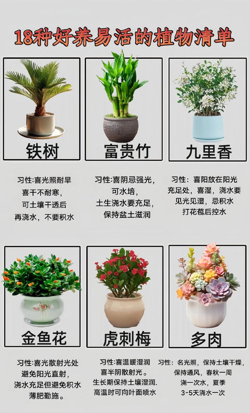 如何养花的小常识介绍,如何养花知识 第2张 如何养花的小常识介绍,如何养花知识 第2张