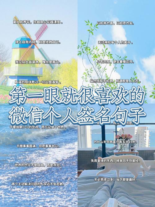 如何养花的小常识介绍,如何养花知识 第3张 如何养花的小常识介绍,如何养花知识 第3张
