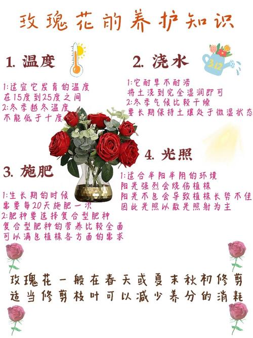 如何养花的小常识介绍,如何养花知识 第7张 如何养花的小常识介绍,如何养花知识 第7张