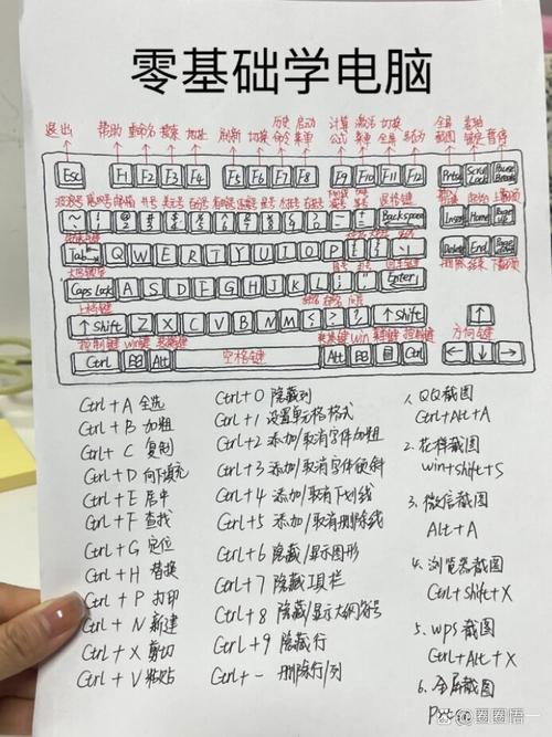 电脑常识培训,电脑基本培训 第1张 电脑常识培训,电脑基本培训 第1张