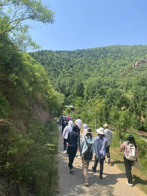 张家口返岗出行最新规定 - 张家口返回人员用隔离吗 第6张 张家口返岗出行最新规定 - 张家口返回人员用隔离吗 第6张