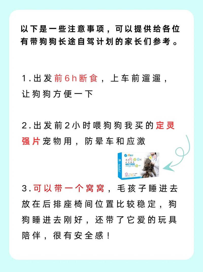 长途出行怎么带狗狗上车,长途怎么带宠物回家 第1张 长途出行怎么带狗狗上车,长途怎么带宠物回家 第1张
