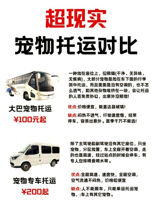 长途出行怎么带狗狗上车,长途怎么带宠物回家 第3张 长途出行怎么带狗狗上车,长途怎么带宠物回家 第3张