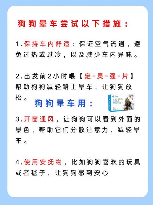 长途出行怎么带狗狗上车,长途怎么带宠物回家 第4张 长途出行怎么带狗狗上车,长途怎么带宠物回家 第4张