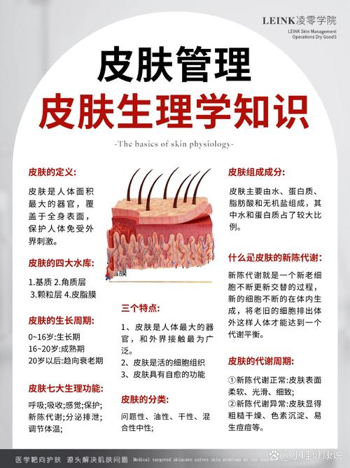 减肥美容常识下载 - 减肥美容养生 第2张 减肥美容常识下载 - 减肥美容养生 第2张