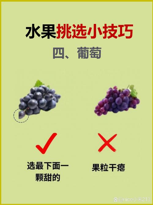 卖水果有那些经验常识(卖水果的经验技巧) 第6张 卖水果有那些经验常识(卖水果的经验技巧) 第6张