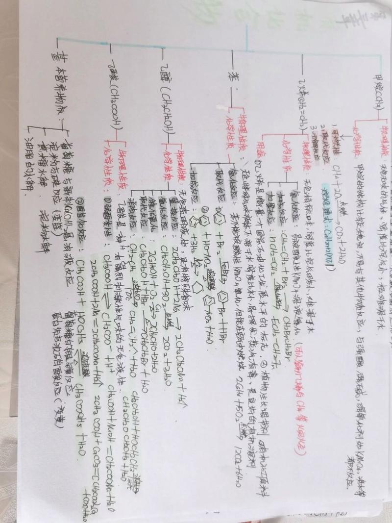 常识思维导图,常识 思维导图 第6张 常识思维导图,常识 思维导图 第6张