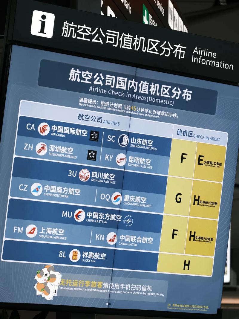 长龙特殊旅客出行 - 长龙特殊旅客出行情况 第4张 长龙特殊旅客出行 - 长龙特殊旅客出行情况 第4张