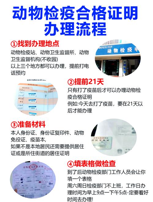 长春宠物出行打车,长春有宠物托运吗 第6张 长春宠物出行打车,长春有宠物托运吗 第6张